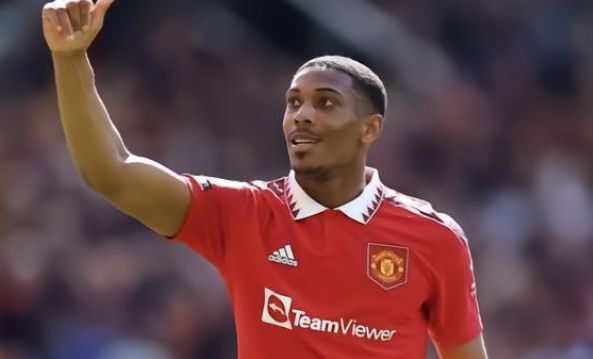 性和观赏性 性和观赏性